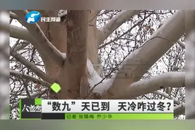 河南郑州：遇到最冷数九天，防冻伤“锦囊”请收好视频封面