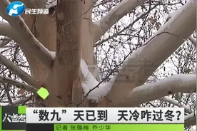 河南郑州：遇到最冷数九天，防冻伤“锦囊”请收好视频封面