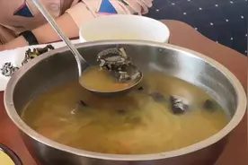 小亮给媳妇做的月子饭.清炖乌鸡汤.美味又大补.做法简单视频封面