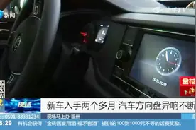 新车刚买俩月出问题,4S店连续误拆2次零部件,车主:再拆就不要了视频封面