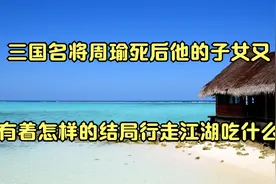 三国名将周瑜死后他的子女又有着怎样的结局_行走江湖吃什么视频封面