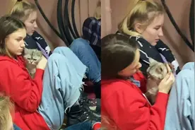 乌克兰少女带猫咪躲避难所，温柔抚摸安抚情绪，一举动令人破防视频封面
