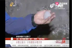 沂南县突降冰雹，冰雹个头比鸡蛋还大，房屋和农作物都被砸坏视频封面