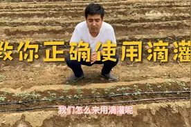 你真的会用滴灌吗？手把手教你如何正确使用滴灌，走出使用误区！视频封面