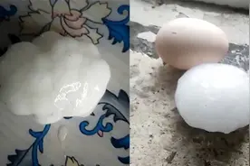 真·大如鸡蛋！内蒙古兴安盟密集冰雹直径超6厘米“砸漏”住家视频封面