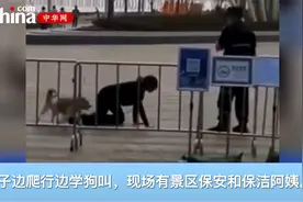 深圳一女子和狗同拴一根绳边爬边学狗叫，警方回应：将调查处理视频封面