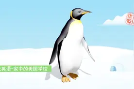 看动物身体的某一部分，猜一猜这是哪些动物，有企鹅和长颈鹿。视频封面