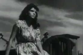 罗马尼亚电影《多瑙河之波》片段视频封面