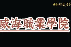 山东高校，威海高校推荐—威海职业学院视频封面