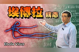 恐怖的埃博拉病毒是从哪里来的?人类对付病毒最有效的方法是什么?视频封面