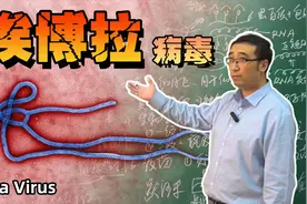 恐怖的埃博拉病毒是从哪里来的?人类对付病毒最有效的方法是什么?视频封面