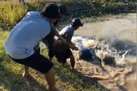 差点被大鱼拖下水，发现不对劲三人拼命往岸上拉，收获惊人视频封面