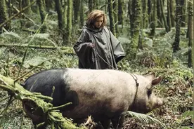 在这个世界，人类不允许单身，否则就会被变成动物流放森林