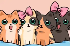 一只猫咪一生可以生多少只小猫呢？视频封面