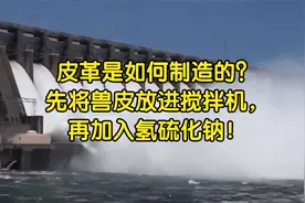 皮革是如何制造的？先将兽皮放进搅拌机，再加入氢硫化钠！