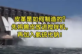 皮革是如何制造的？先将兽皮放进搅拌机，再加入氢硫化钠！