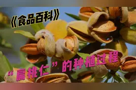 扁桃仁的种植过程？这也是欺骗中国消费者数10年的“美国大杏仁”视频封面