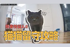 猫咪独自生活，但是铲屎官也不要忘记准备好这些东西|养猫小课堂视频封面