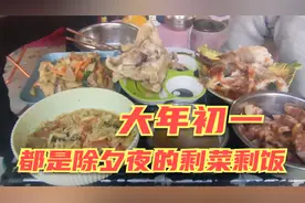 旅途中在新疆租房过春节，大年初一吃剩饭剩菜，这生活痛并快乐着视频封面