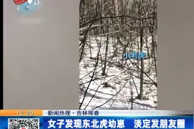 【新闻热搜】吉林珲春：女子发现东北虎幼崽 淡定发朋友圈视频封面