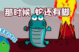 【蛇5】从断肢求生到称霸地表，蛇在大灭绝中到底经历了什么？视频封面