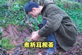 小时候是你把我拉扯大，现在让我来陪伴你，爷爷你辛苦了一辈子