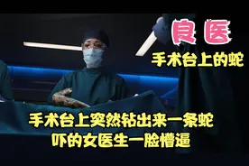 手术台上突然钻出来一条蛇，吓得女医生一脸懵逼视频封面