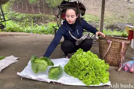 大山里种地卖菜，养家禽，实拍越南农村妹子的60天的真实生活！视频封面