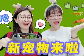 姐妹买来新宠物，到底是什么小家伙这么可爱？让2人直呼太萌了！视频封面