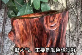 礼赠领导，当然是选择海黄大大大笔筒了，高端上档次视频封面