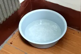 房间里只要放这一盆水，一夏天房间里不见一只蚊子，真的太管用了