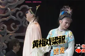 黄梅戏《梁祝》选段：访友，王莹赵章伟诠释离别情视频封面