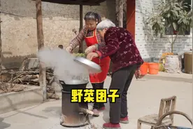 又到了吃野菜的季节，用“毛毛眼”做成菜团子吃视频封面