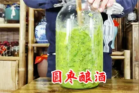 用这种叫圆枣子的野生猕猴桃酿酒看看味道会怎么样