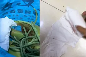 女子打开妈妈给的蔬菜包竟发现包底塞纸，拆开一看瞬间鼻酸视频封面