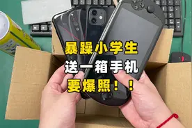 暴躁小学生！用一箱手机，要看我爆照？视频封面