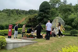 袁隆平逝世两周年妻子邓则携家人前往祭拜 袁老坟前摆满鲜花稻穗视频封面