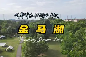 成都周边休闲好去处，温江金马湖，适合喝茶，骑车，晒太阳视频封面