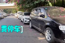 南宁免费停车路段，都停有什么车？最贵十几万视频封面