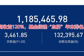 最高收益120%，基金经理“血拼”年末排名战！视频封面