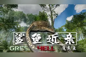 绿色地狱：价值2000元的魔鬼鱼，在这丛林里唾手可得！下饭贼香