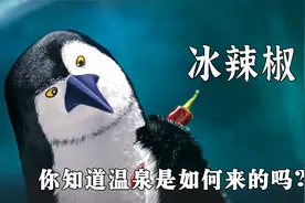 一颗辣椒竟然导致了冰山融化《冰辣椒》视频封面