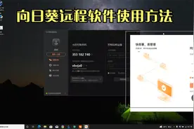向日葵远程控制软件使用方法视频封面