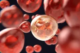 高中生物必修一重点知识导入1：细胞学说视频封面