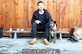 梦见去世的父亲为不争气的儿子打工挣钱，可把我眼泪都哭干了视频封面