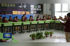 张安平：躬耕教育 立德树人视频封面