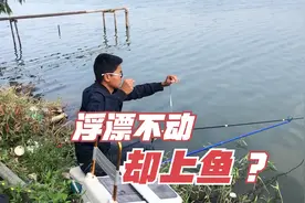 浮漂不动抬竿却有鱼？别怪冬天的鱼口轻，这些错误老手也常犯视频封面