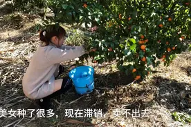 沙糖桔滞销，五毛钱一斤都卖不出去，果农心里急，有什么办法？视频封面