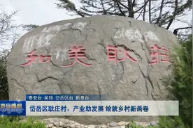 视频 | 岱岳区耿庄村：产业助发展 绘就乡村新画卷视频封面