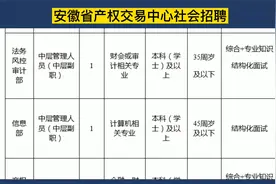 安徽省产权交易中心（国企）社会招聘，正式工待遇视频封面